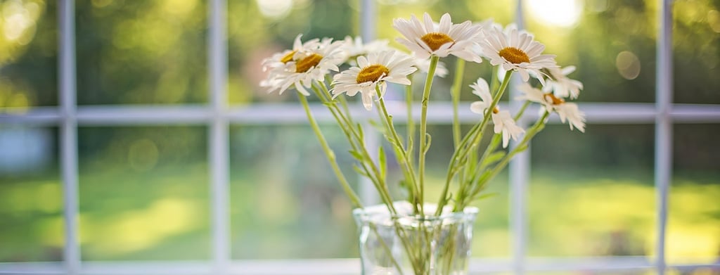 Spring Cleaning Windows