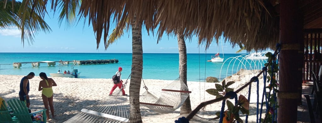 Excursion Isla Saona