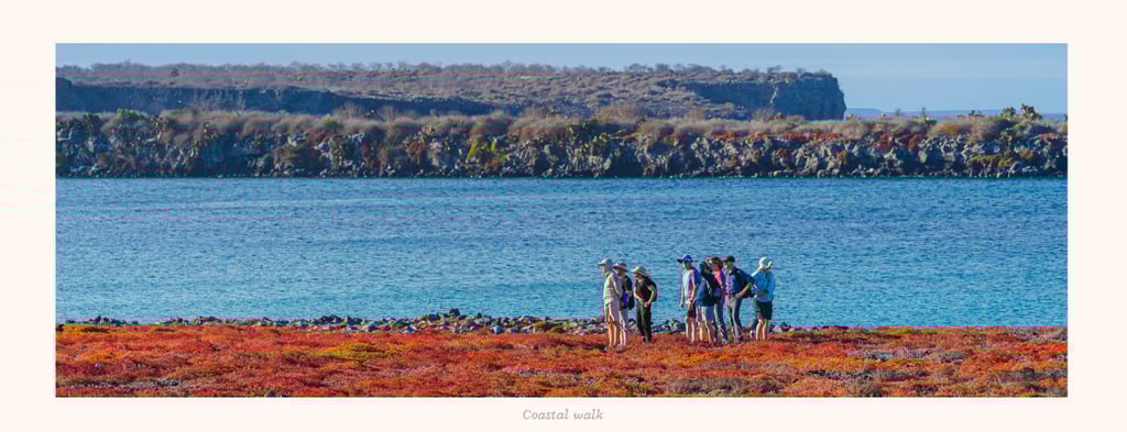 Curious visitors admiring the contrasting views on a coastal walk