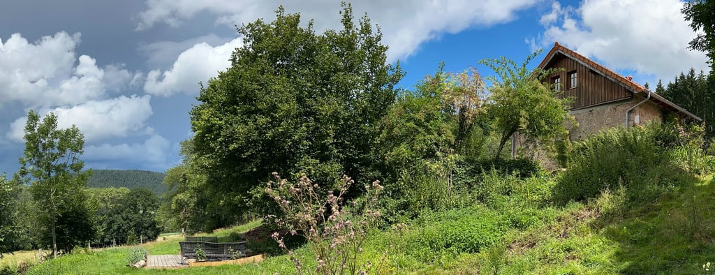 terrain nature au gite la fortune dans les vosges