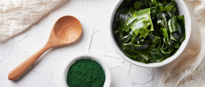 Un bol d'algue spiruline