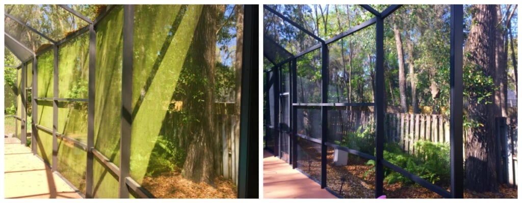 Split image showing a pool cage screen enclosure before and after cleaning with Land O' Lakes, FL