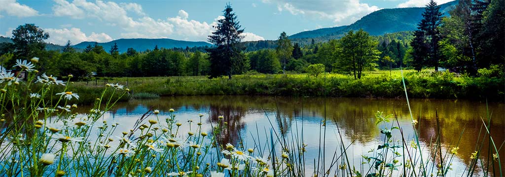 Cabin in Catskills NY - Ultimate Escape from City Life - Orange Door Catskills