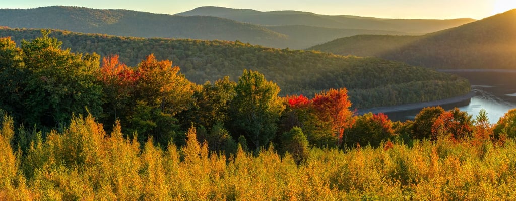 7 Reasons Why the Catskills Are Perfect for a Secluded Cabin Vacation