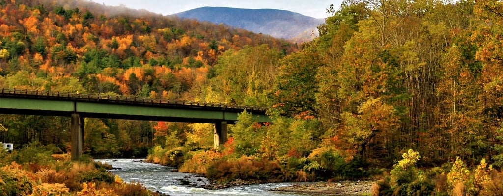7 Reasons Why the Catskills Are Perfect for a Secluded Cabin Vacation