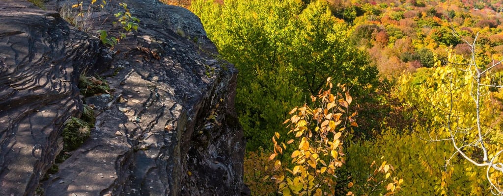 7 Reasons Why the Catskills Are Perfect for a Secluded Cabin Vacation