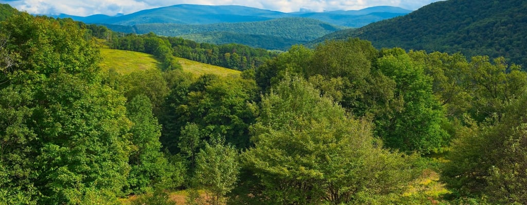 7 Unforgettable Experiences That Make a Catskills Cabin Vacation the Perfect Escape