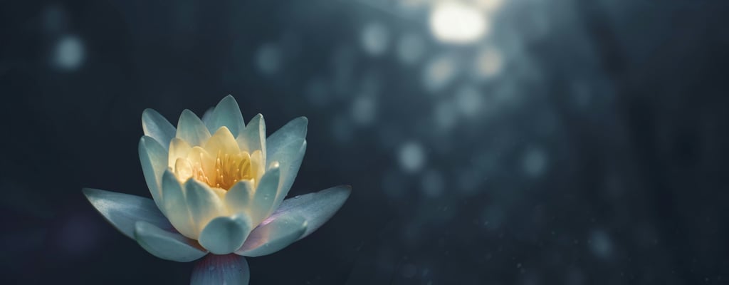 Weight Loss Hypnotherapy & Self-Hypnosis