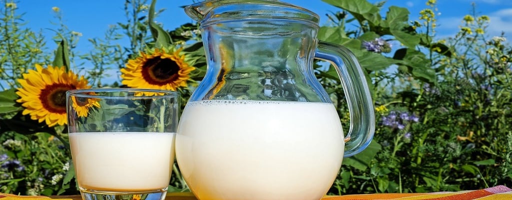 Milk in glass jar and glass
