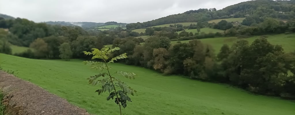 The Slad Valley, Gloucestershire
