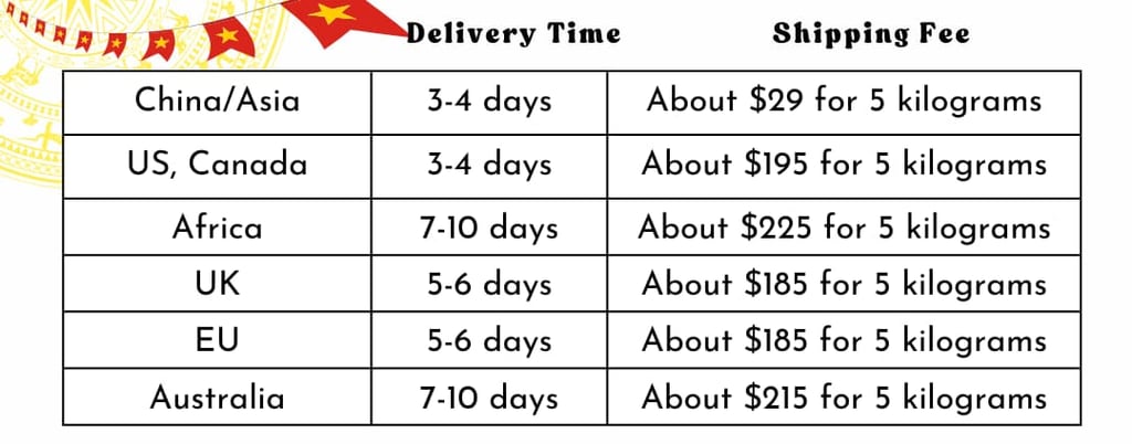 Global Delivery Vietnamese Human Raw Hair Wigs Vietsilkhair