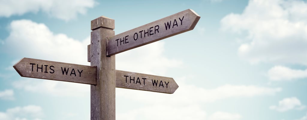 wooden signpost with three signs - this way, that way, the other way