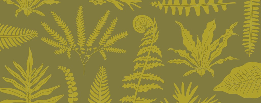 Fern City Brand Pattern of hand drawn illustrated ferns