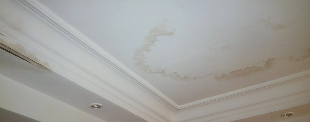 Ceiling with water stains from roof leak