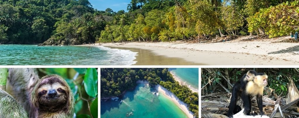 Vida selvagem e praias preservadas no Parque Nacional Manuel Antonio, Costa Rica