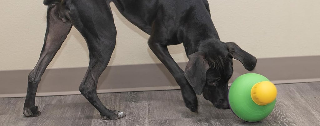 a black dog playing with a Starmark Bob-A-Lot toy in a room