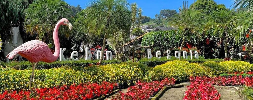 taman bunga begonia lembang