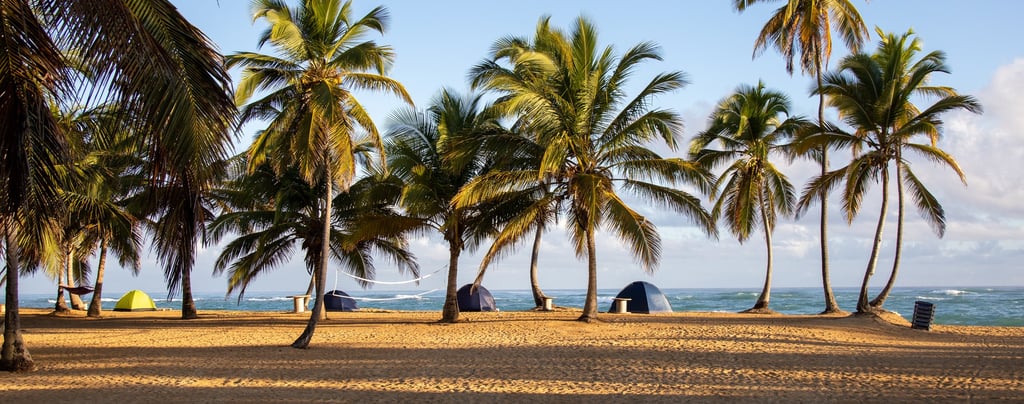 Camping on a palm-lined beach in the Dominican Republic near the Caribbean Sea