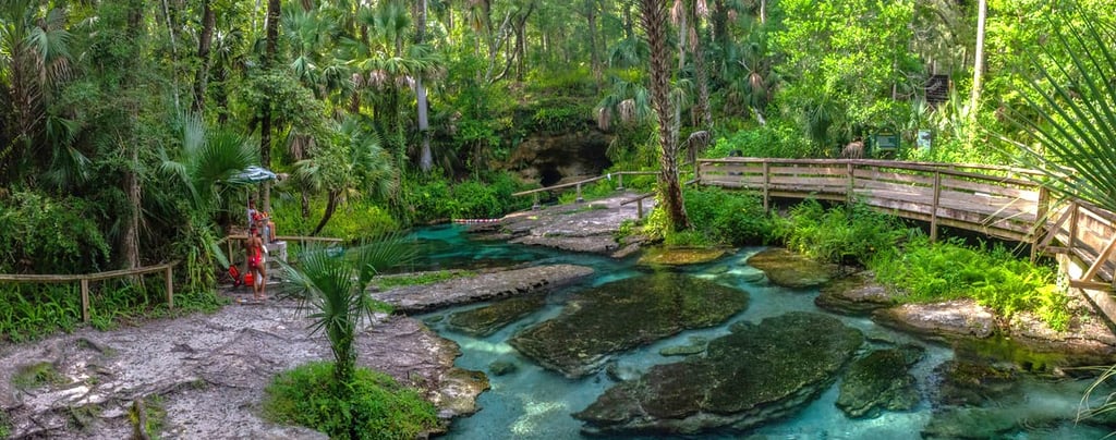 Wekiwa Springs State Park