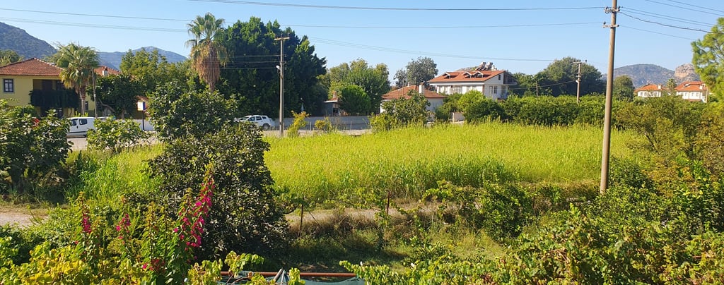 A view from Dalyan