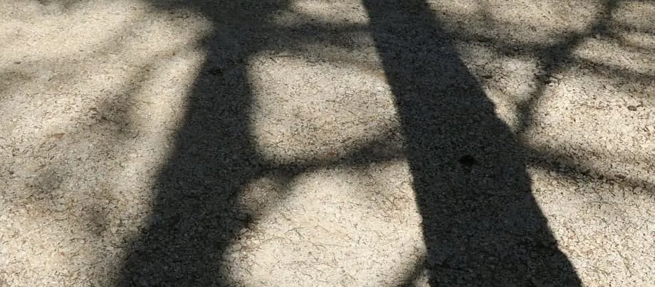 Gestalt-thérapie, émergence et transformation à Décines-Charpieu, Lyon Est