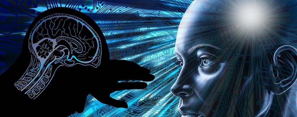 How Google’s Algorithm Impacts Your Website Rankings