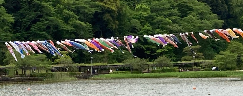 Many Koinobori strung together over a lake in Japan. Photo by Megumi Watanabe