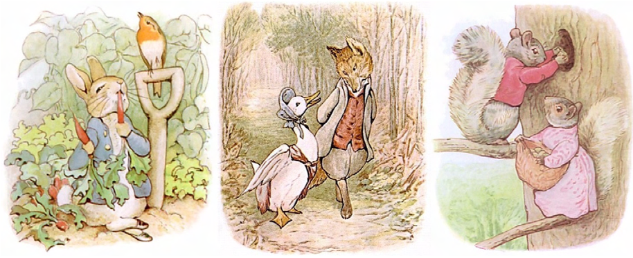 Beatrix Potter Drawings