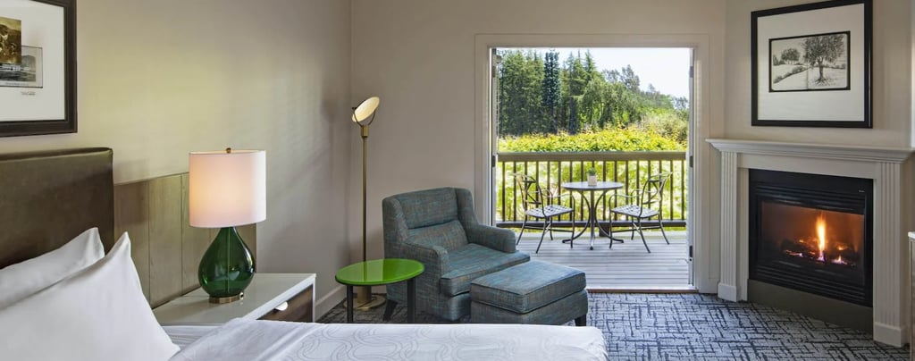 Hotel with vineyard view