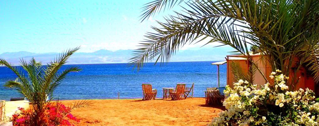 View of the beach flowers and sea at Bedouin star Ras shitan
