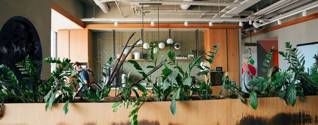 Comprehensive Office Cleaning 