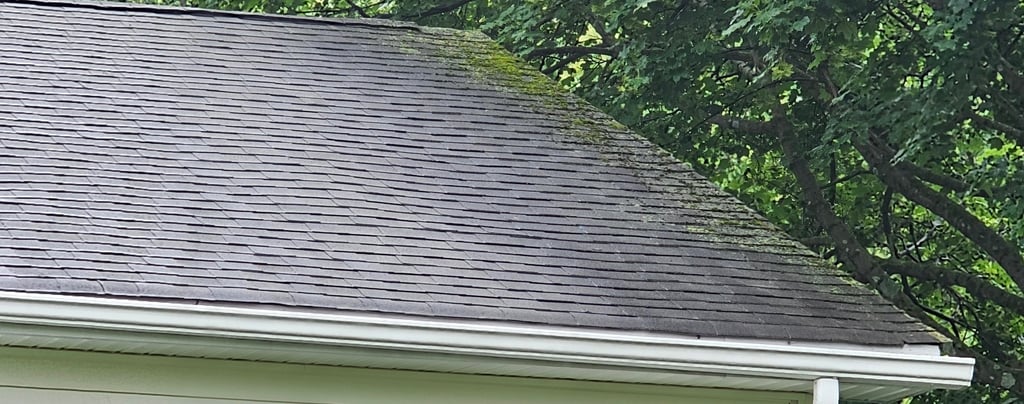 Roof with moss growing on top