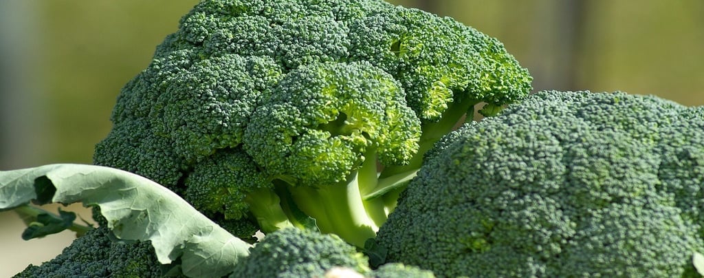 Broccoli