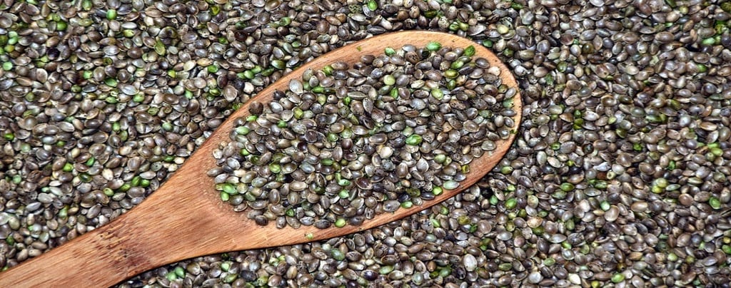 Healthy Hemp Seeds