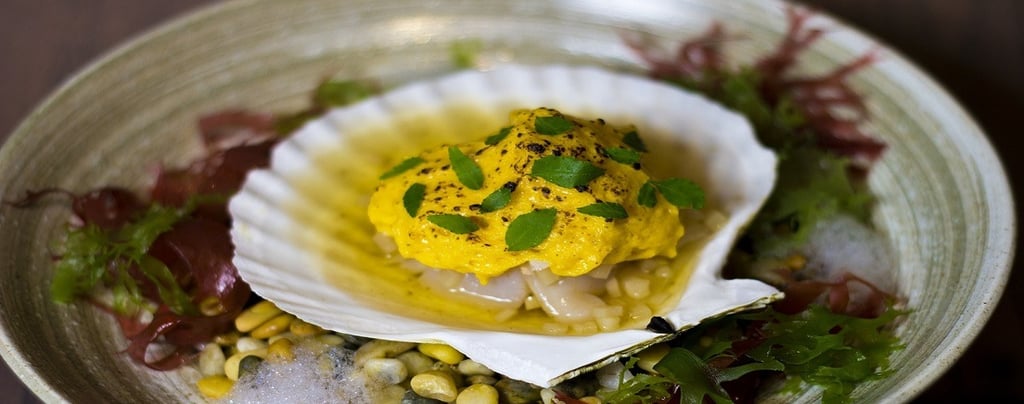 Scallops