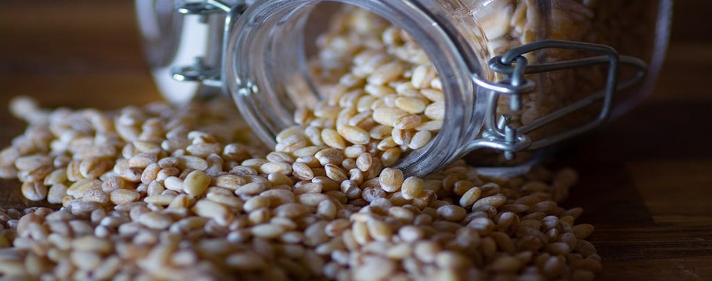 Healthy Spelt Grain