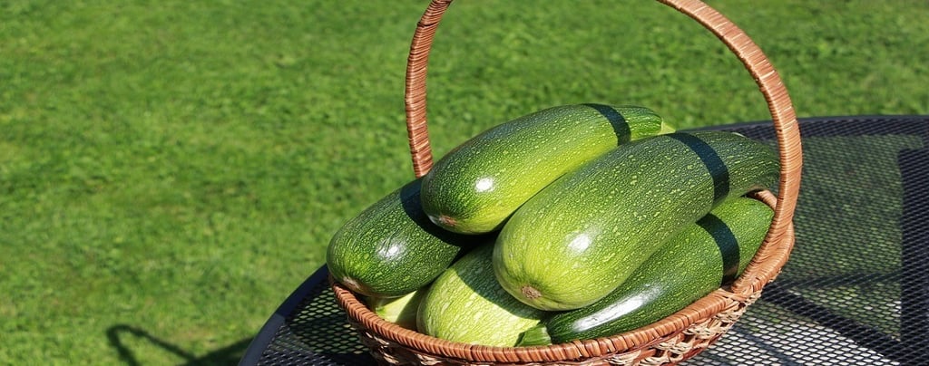Zucchini