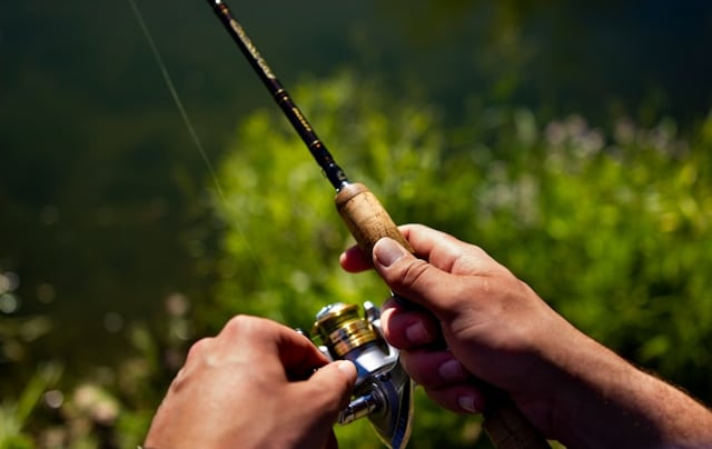 MOLINETES MARINE SPORTS PARA PEIXE PEQUENO DUAS MÃOS SEGURANDO VEGETAÇÃO AO FUNDO.