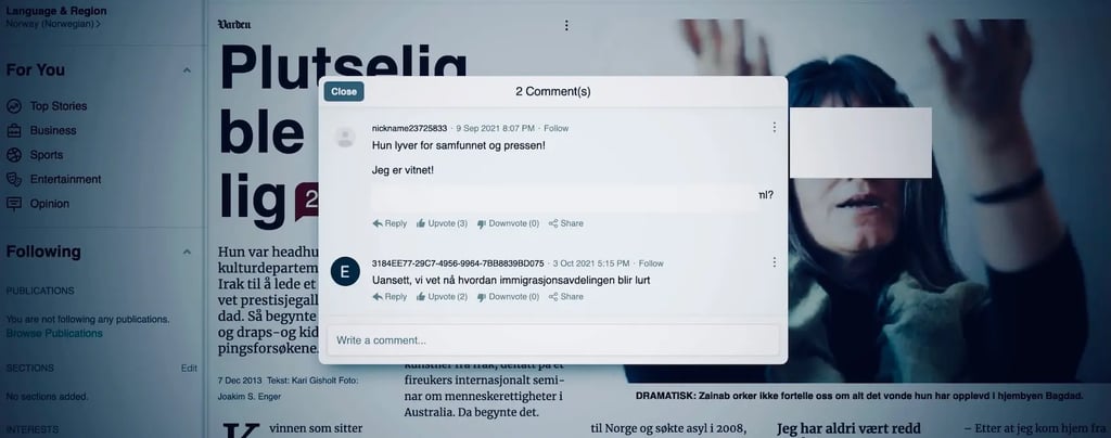 Varden.no, Zainab Abdulkarim, Zainab Art, visual art scam, 