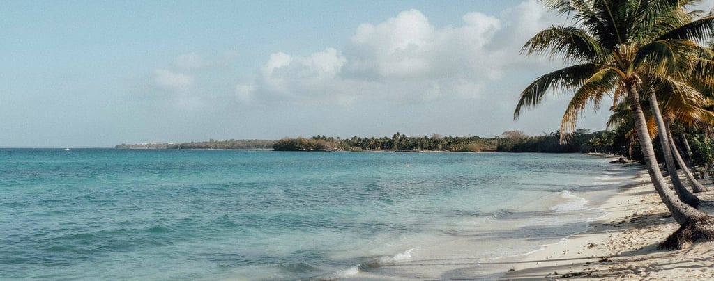 Tropical white sand beach with turquoise water and palm trees under a clear blue sky.