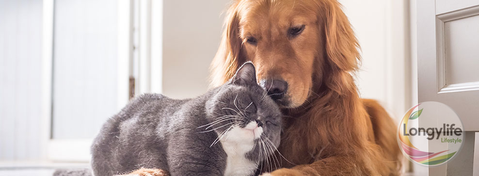 LongyLife integratori per cani e gatti Vitalità Completa PET