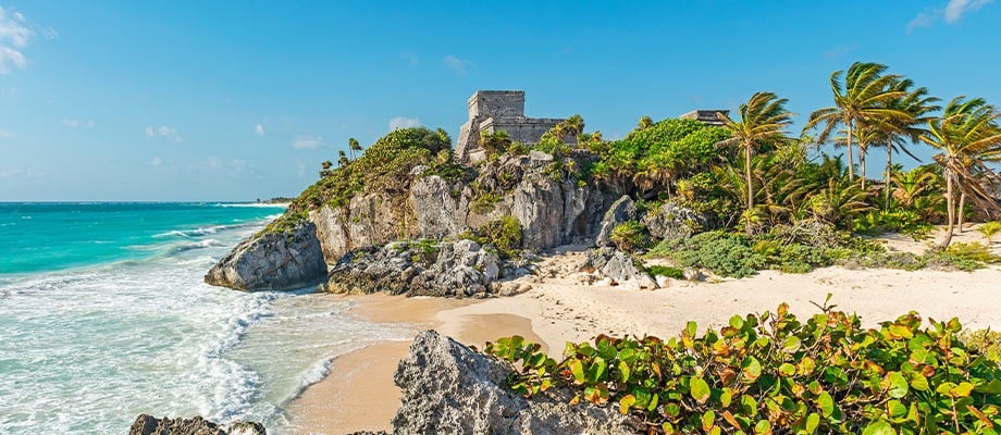 Spend the day in the clear waters of Cozumel and Costa Maya.