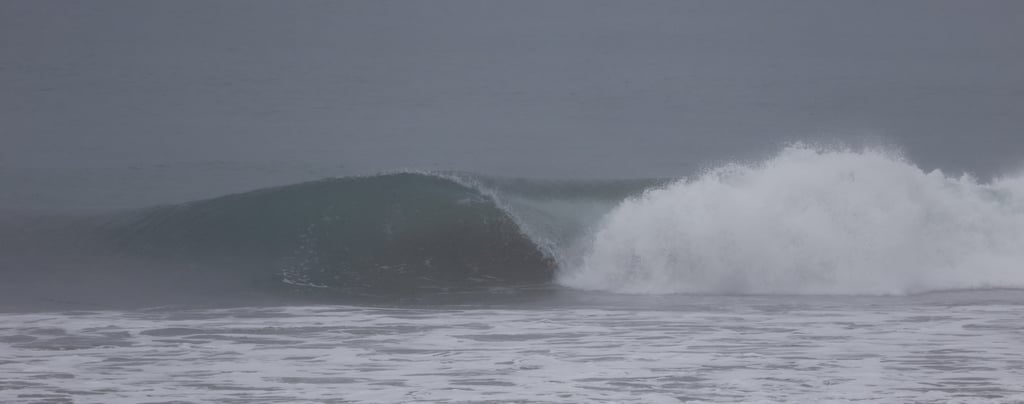 perfect pick on a cloudy and blurry day