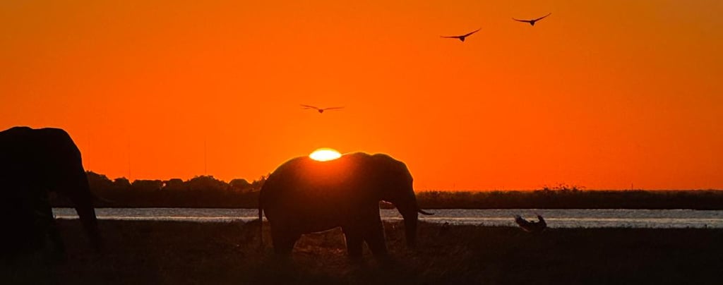 Tramonto Delta dell'Okavango in Botswana.