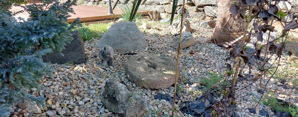 Алпинеум в Куртово Конаре с растения, палма, каменен слон и стара мелнична каменна колела