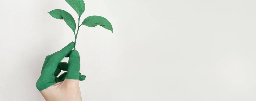 une main dont les doigts sont peints en verts et tenant une jeune pousse de plantes