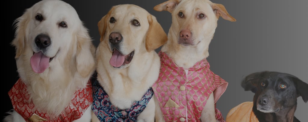 Founder of Cosmic Pet Care with rescue dogs – creating a home for the Pawdashians