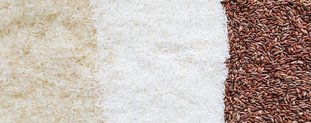 Different types of Rice
