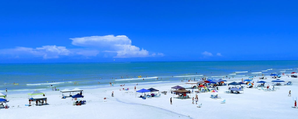 siesta key beach area rentals