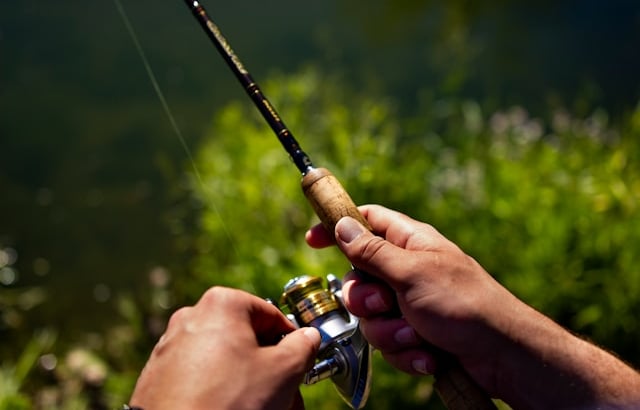 MOLINETES MARINE SPORTS PARA PEIXE PEQUENO DUAS MÃOS SEGURANDO VEGETAÇÃO AO FUNDO.